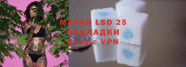 2c-b Бородино