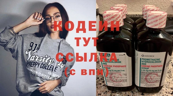 2c-b Бородино