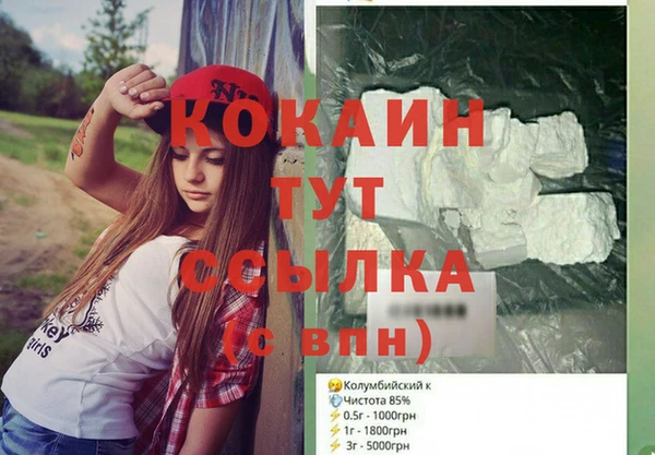 2c-b Бородино