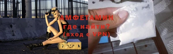 индика Бронницы