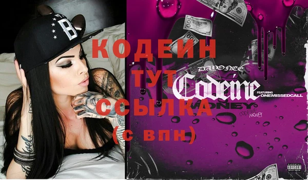 2c-b Бородино