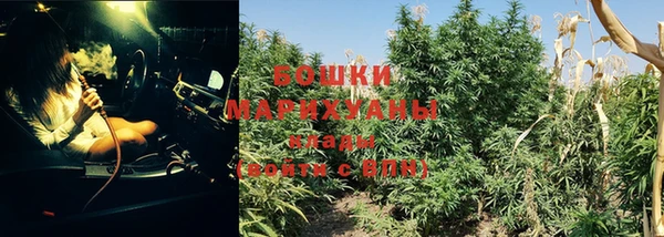 индика Бронницы