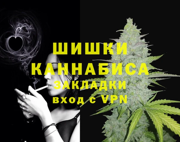 2c-b Бородино