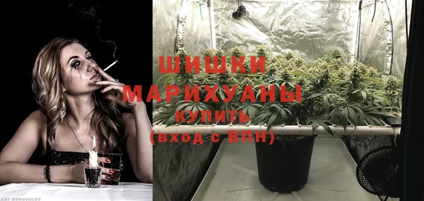 индика Бронницы