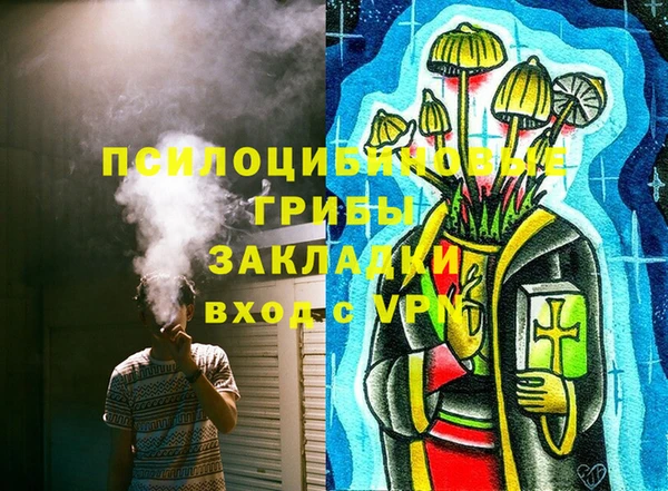 2c-b Бородино