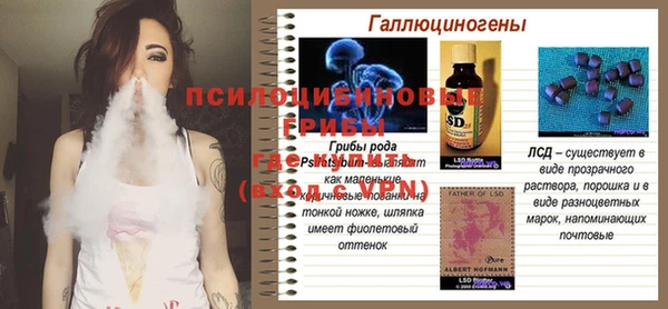 индика Бронницы