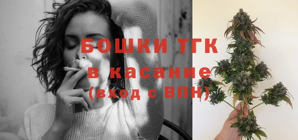 индика Бронницы